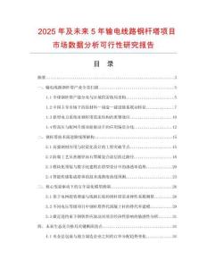 2025年及未来5年输电线路钢杆塔项目市场数据分析可行性研究报告