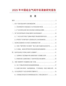 2025年中國組合氣閥市場調查研究報告