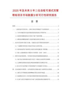 2025年及未來5年二位自吸可調式雙管噴槍項目市場數據分析可行性研究報告