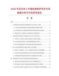 2025年及未來5年錳鐵熔煉爐項目市場數據分析可行性研究報告