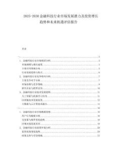 2025-2030金融科技行業(yè)市場(chǎng)發(fā)展?jié)摿巴顿Y增長(zhǎng)趨勢(shì)和未來(lái)機(jī)遇評(píng)估報(bào)告
