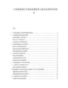 中國(guó)氫能源汽車基礎(chǔ)設(shè)施配套與商業(yè)化進(jìn)程研究報(bào)告