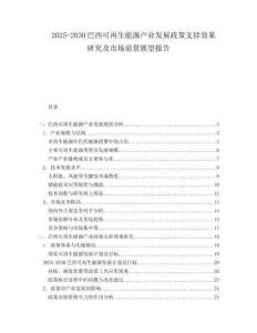 2025-2030巴西可再生能源產(chǎn)業(yè)發(fā)展政策支持效果研究及市場(chǎng)前景展望報(bào)告