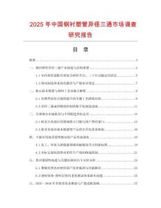 2025年中國鋼襯塑管異徑三通市場調查研究報告