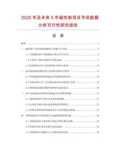 2025年及未來5年磁性粉項目市場數據分析可行性研究報告