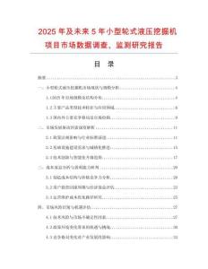 2025年及未來5年小型輪式液壓挖掘機(jī)項(xiàng)目市場(chǎng)數(shù)據(jù)調(diào)查、監(jiān)測(cè)研究報(bào)告
