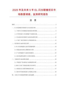 2025年及未來(lái)5年EL閃光眼鏡項(xiàng)目市場(chǎng)數(shù)據(jù)調(diào)查、監(jiān)測(cè)研究報(bào)告