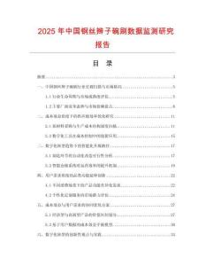2025年中國鋼絲辮子碗刷數據監測研究報告
