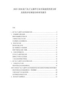 2025-2030波蘭電子元器件行業(yè)市場現(xiàn)狀供需分析及投資評估規(guī)劃分析研究報(bào)告