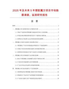 2025年及未来5年塑胶魔方项目市场数据调查、监测研究报告