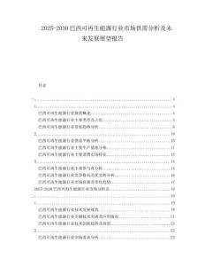 2025-2030巴西可再生能源行業市場供需分析及未來發展展望報告