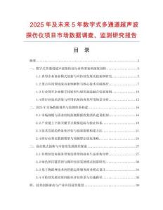 2025年及未來5年數字式多通道超聲波探傷儀項目市場數據調查、監測研究報告