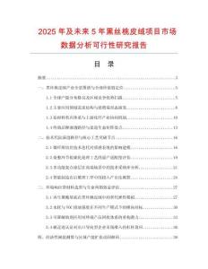 2025年及未來5年黑絲桃皮絨項目市場數據分析可行性研究報告