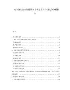 城市公共安全智能管理系統建設與市場競爭分析報告