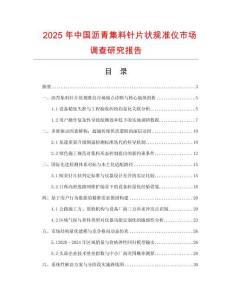 2025年中國瀝青集料針片狀規(guī)準儀市場調(diào)查研究報告