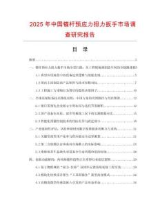 2025年中國錨桿預應力扭力扳手市場調查研究報告