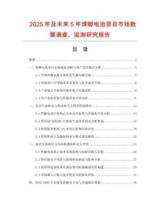 2025年及未來(lái)5年焊腳電池項(xiàng)目市場(chǎng)數(shù)據(jù)調(diào)查、監(jiān)測(cè)研究報(bào)告