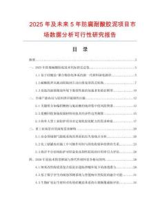 2025年及未來5年防腐耐酸膠泥項目市場數(shù)據(jù)分析可行性研究報告