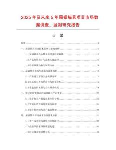 2025年及未來5年扁錨錨具項目市場數(shù)據(jù)調(diào)查、監(jiān)測研究報告
