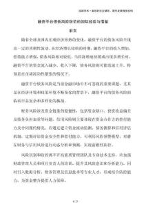 融資平臺(tái)債務(wù)風(fēng)險(xiǎn)防范的國(guó)際經(jīng)驗(yàn)與借鑒