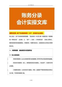 做賬實操-資產負債表核算 SOP