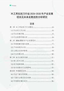 木工用拉刮刀行業(yè)2026-2030年產(chǎn)業(yè)發(fā)展現(xiàn)狀及未來發(fā)展趨勢分析研究