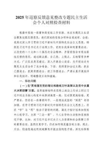 2025年巡察反饋意見整改專題民主生活會個人對照檢查材料
