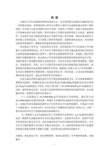 摻硼類石墨烯體系的自旋輸運性質研究