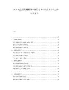 2025光伏銀漿材料降本路徑與下一代技術(shù)替代趨勢研究報告