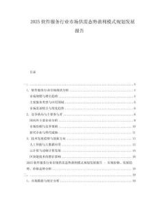 2025軟件服務(wù)行業(yè)市場供需態(tài)勢盈利模式規(guī)劃發(fā)展報告