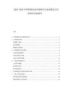 2025-2030中国智能电表市场格局与商业模式可行性研究分析报告