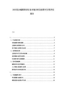 2025民办编程培训行业市场分析及投资可行性评估报告