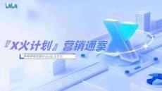 【嗶哩嗶哩×花火】X火計劃營銷通案2025