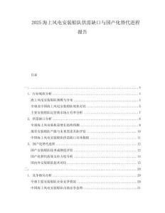2025海上風電安裝船隊供需缺口與國產化替代進程報告