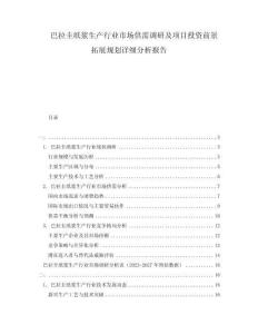 巴拉圭紙漿生產(chǎn)行業(yè)市場供需調(diào)研及項目投資前景拓展規(guī)劃詳細分析報告