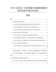 2025及未來5年鋁箔復合保溫管道板材項目投資價值分析報告
