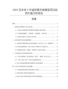2025及未來5年遙控器手板模型項目投資價值分析報告