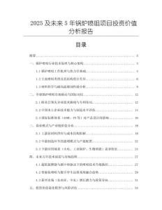 2025及未來5年鍋爐噴咀項(xiàng)目投資價(jià)值分析報(bào)告
