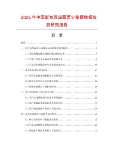 2025年中国彩色双四画面分割器数据监测研究报告