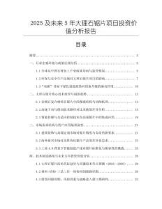 2025及未來(lái)5年大理石鋸片項(xiàng)目投資價(jià)值分析報(bào)告