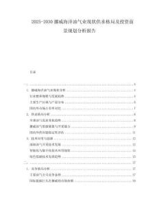 2025-2030挪威海洋油氣業(yè)現(xiàn)狀供求格局及投資前景規(guī)劃分析報(bào)告
