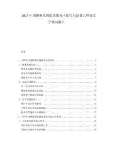 2025中國鋰電池隔膜涂覆技術(shù)迭代與設(shè)備供應(yīng)商競爭格局報告