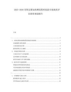 2025-2030哥斯达黎加海滩度假村旅游市场现状评估投资规划报告