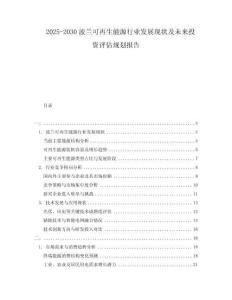 2025-2030波蘭可再生能源行業(yè)發(fā)展現(xiàn)狀及未來投資評估規(guī)劃報告