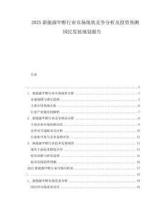 2025新能源甲醇行業(yè)市場現(xiàn)狀競爭分析及投資預測國民發(fā)展規(guī)劃報告