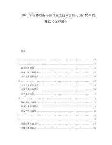 2025半導體設備零部件清洗技術突破與國產(chǎn)化率提升路徑分析報告