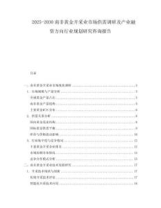 2025-2030南非黃金開(kāi)采業(yè)市場(chǎng)供需調(diào)研及產(chǎn)業(yè)融資方向行業(yè)規(guī)劃研究咨詢(xún)報(bào)告