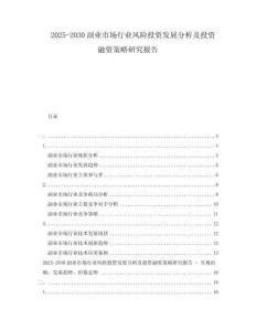 2025-2030副業(yè)市場行業(yè)風(fēng)險投資發(fā)展分析及投資融資策略研究報告