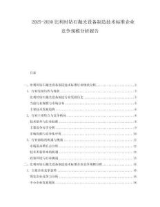 2025-2030比利时钻石抛光设备制造技术标准企业竞争规模分析报告