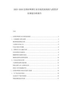 2025-2030比利时啤酒行业市场发展现状与投资评估规划分析报告